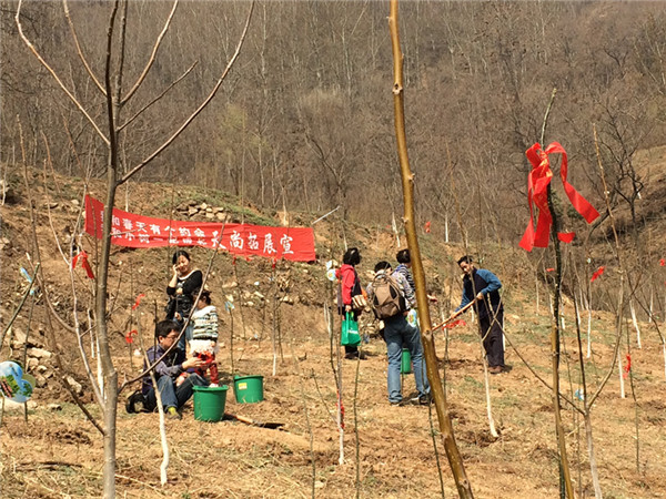 西安祥峪沟植树