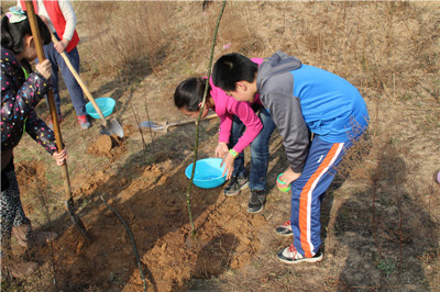 西安袁家村植树活动