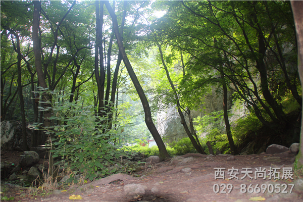 太平峪西寺沟山野拓展基地